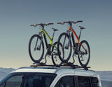 Porte-vélos Expert 298 Thule avec bras de fixation autoréglable