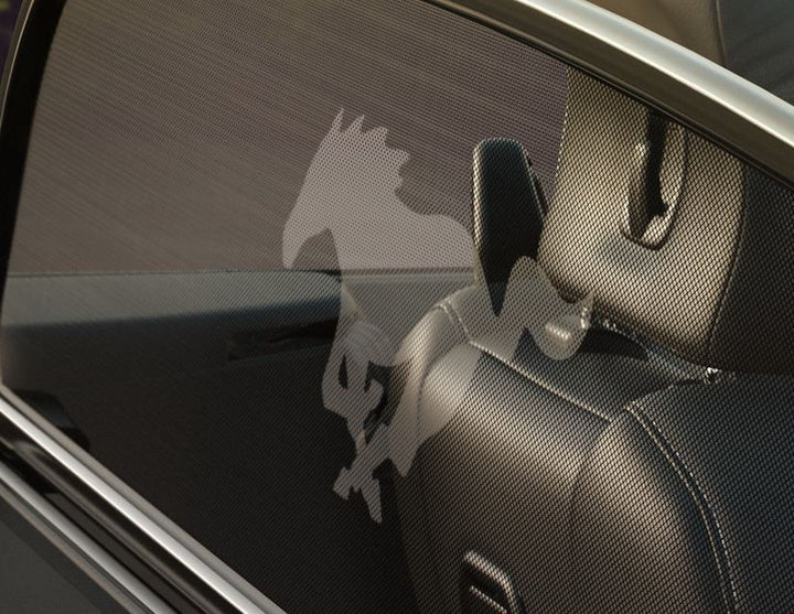 Filet anti-remous pour Ford Mustang à partir de 03/2015