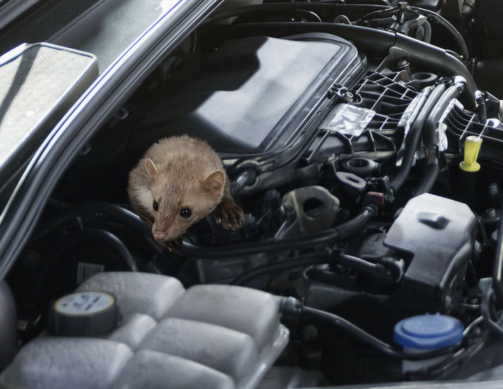 K&K* Répulsif anti-nuisibles M4700B,dispositif combiné