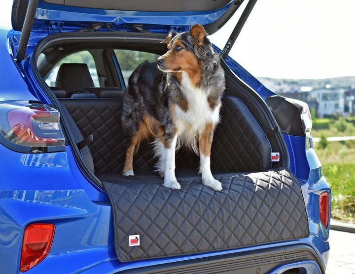 Puma padsforall®* Tapis de voyage pour animaux en cuir PU noir avec passepoil bleu, taille : XS 2019-