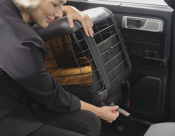 Fixation ISOFIX 4pets Caree pour caisses de transport Caree
