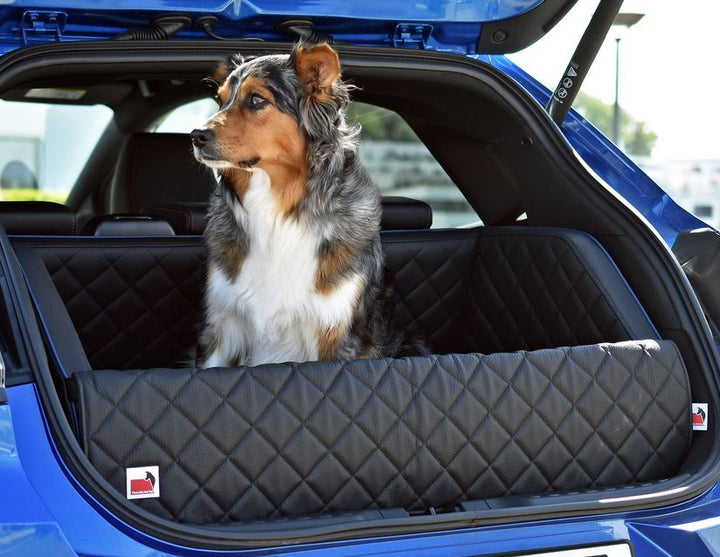 Puma padsforall®* Tapis de voyage pour animaux en cuir PU noir avec passepoil bleu, taille : XS 2019-