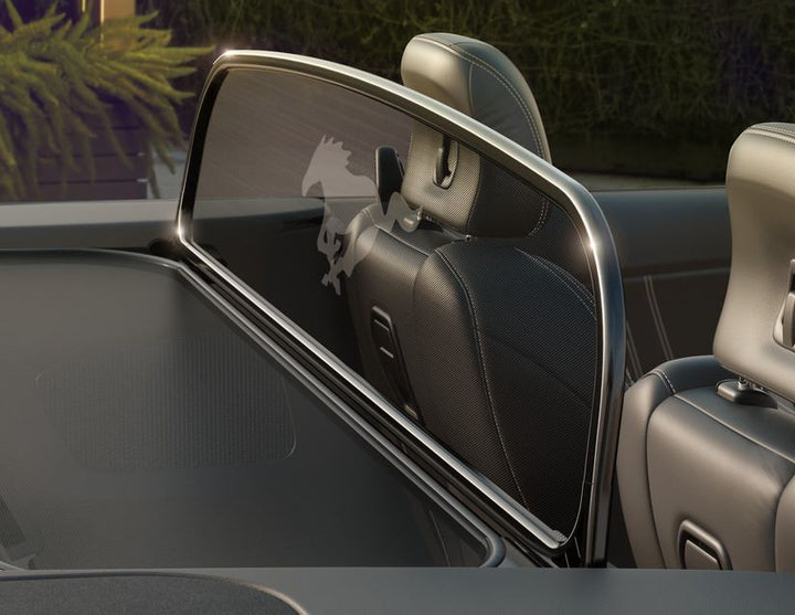 Filet anti-remous pour Ford Mustang à partir de 03/2015