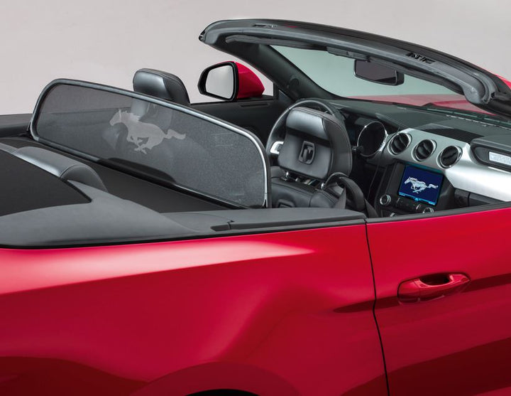 Filet anti-remous pour Ford Mustang à partir de 03/2015