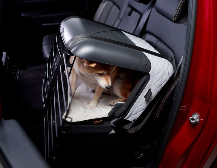 4pets® Caisse de transport Caree pour chiens et chats « Cool Grey » jusqu’à 8 kg