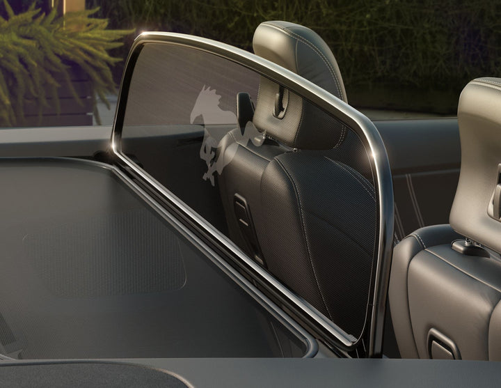 Filet anti-remous pour Ford Mustang à partir de 03/2015