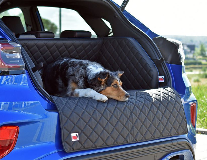 Puma padsforall®* Tapis de voyage pour animaux en cuir PU noir avec passepoil bleu, taille : XS 2019-